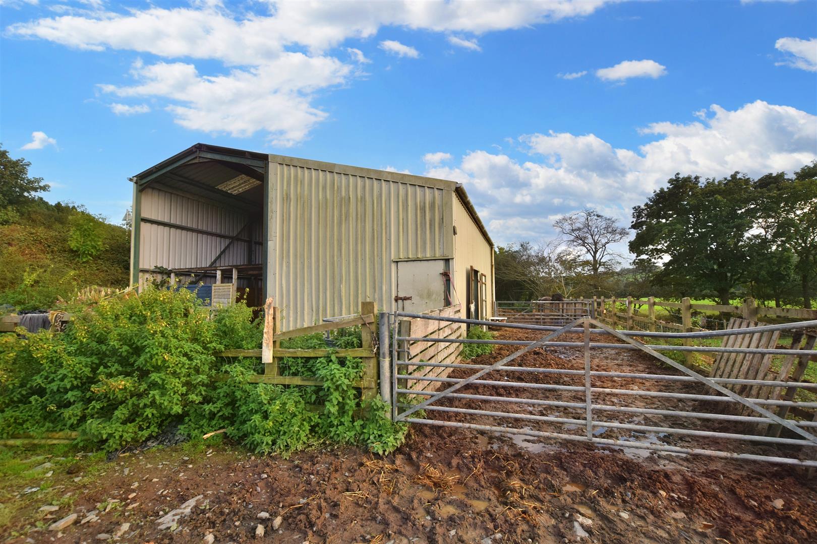 Property For Sale West Wales Properties FIND YOUR FUTURE HOME